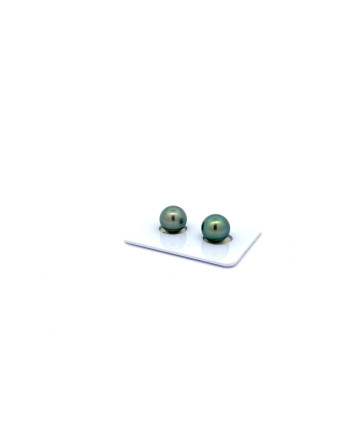 9mm+ jewel  grade Tahitian Black pearl, French Polynesia  