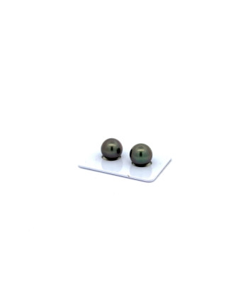 9mm+ jewel  grade Tahitian Black pearl, French Polynesia  