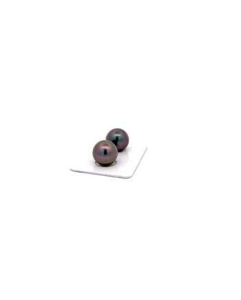12mm+ fine  grade Tahitian Black pearl, French Polynesia  