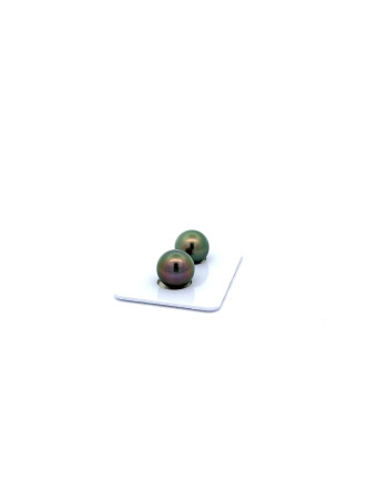 9mm+ jewel  grade Tahitian Black pearl, French Polynesia  