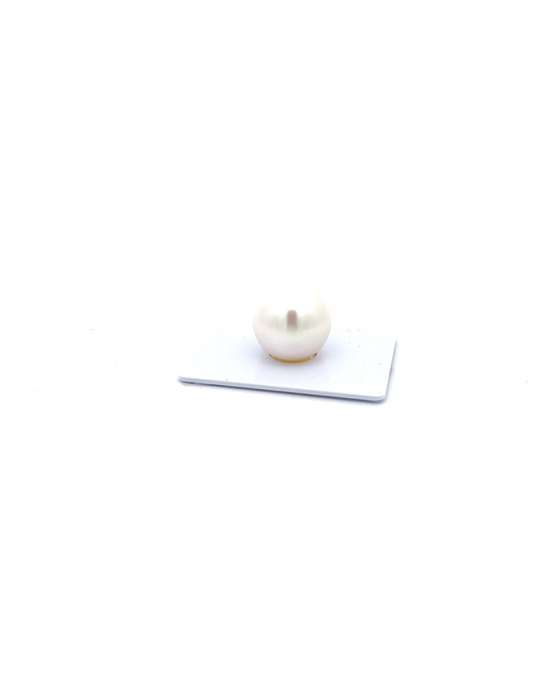 15mm+ fine  grade South Sea pearl, Australia