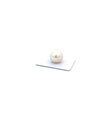 15mm+ fine  grade South Sea pearl, Australia