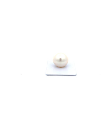 15mm+ fine  grade South Sea pearl, Australia