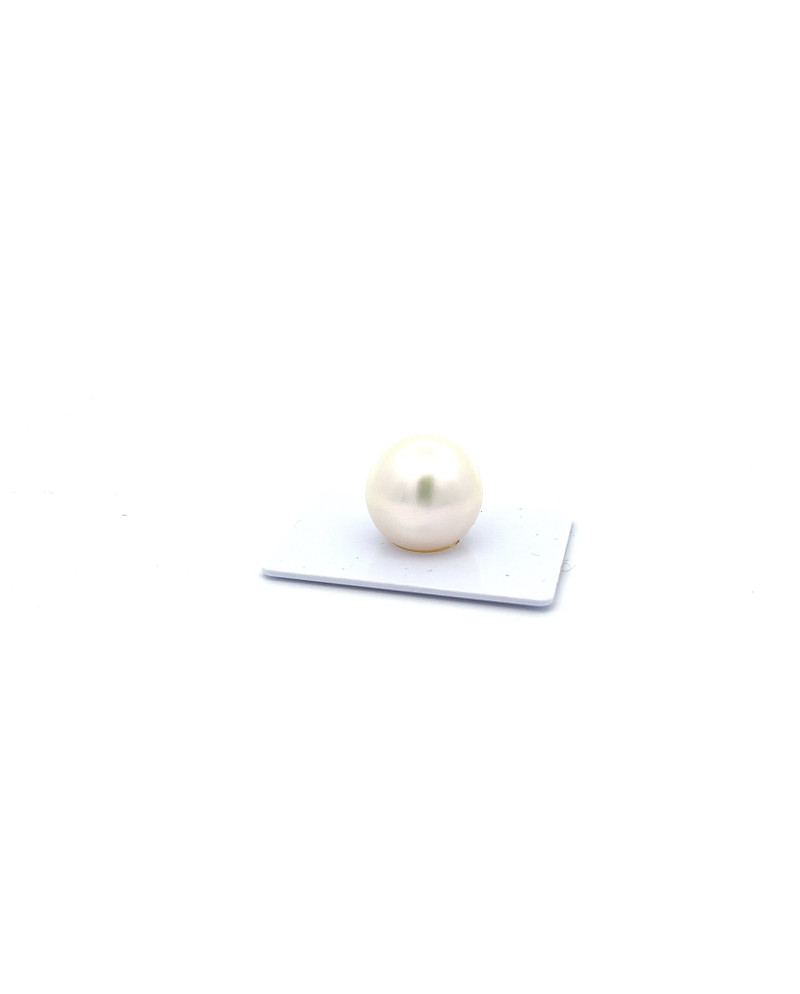 15mm+ fine  grade South Sea pearl, Australia