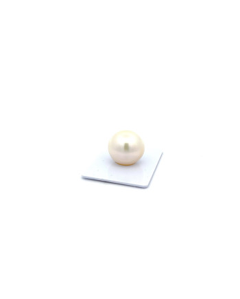 15mm+ fine  grade South Sea pearl, Australia