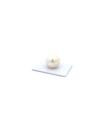 15mm+ fine  grade South Sea pearl, Australia
