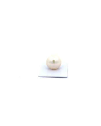 15mm+ fine  grade South Sea pearl, Australia