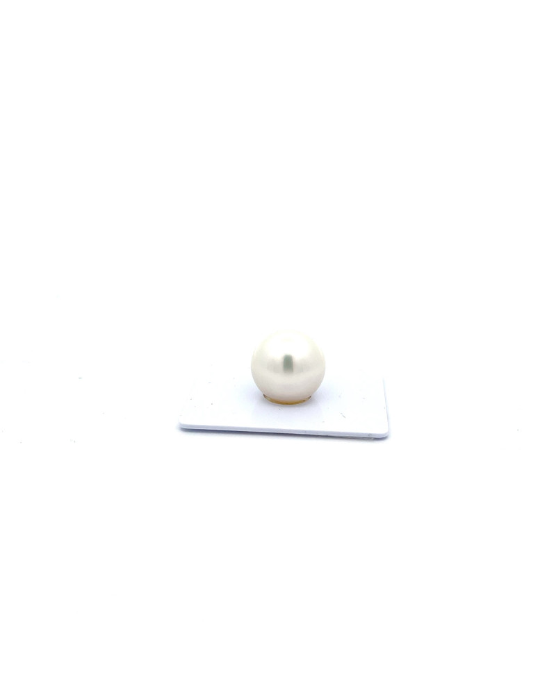 15mm+ gem  grade South Sea pearl, Australia