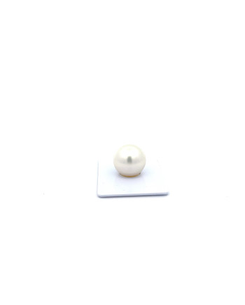 15mm+ gem  grade South Sea pearl, Australia