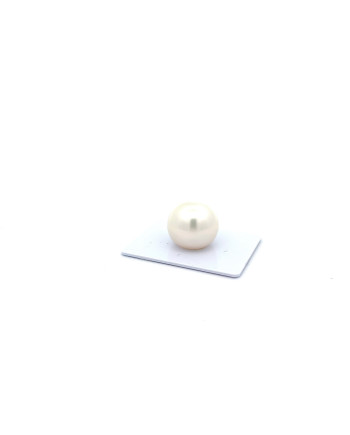 17mm+ fine  grade South Sea pearl, Australia