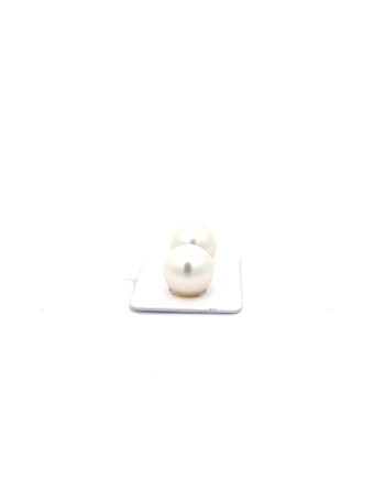 12mm+ gem  grade South Sea pearl, Australia