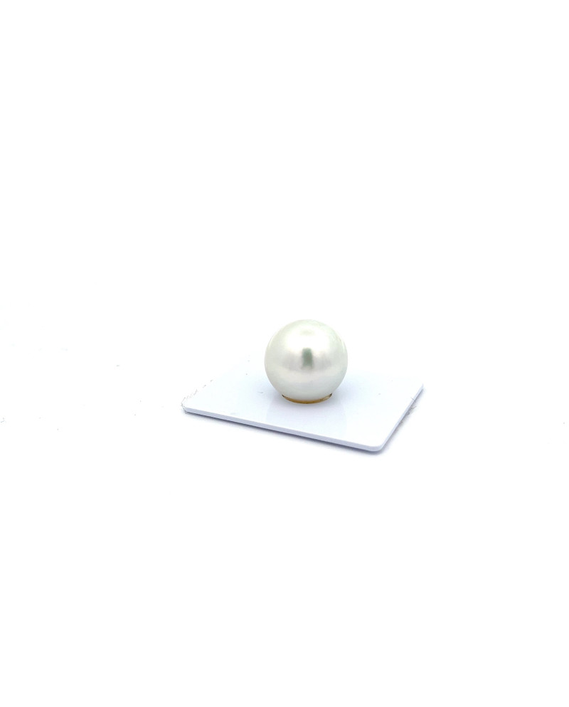 15mm+ fine  grade South Sea pearl, Australia
