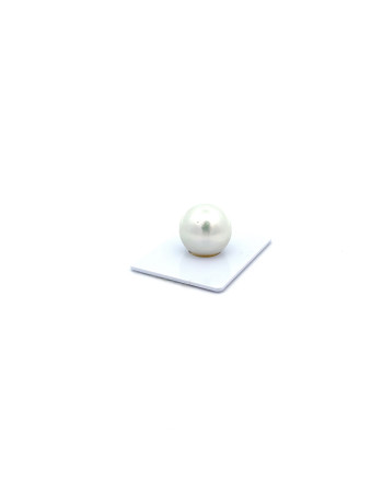 15mm+ fine  grade South Sea pearl, Australia