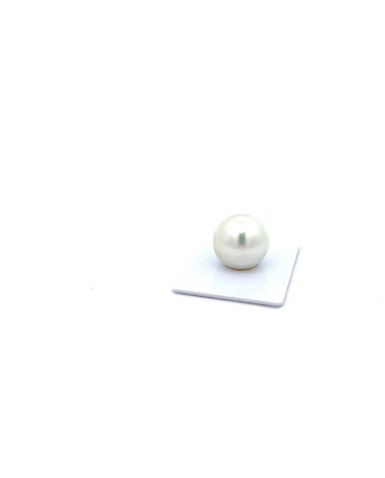 15mm+ fine  grade South Sea pearl, Australia