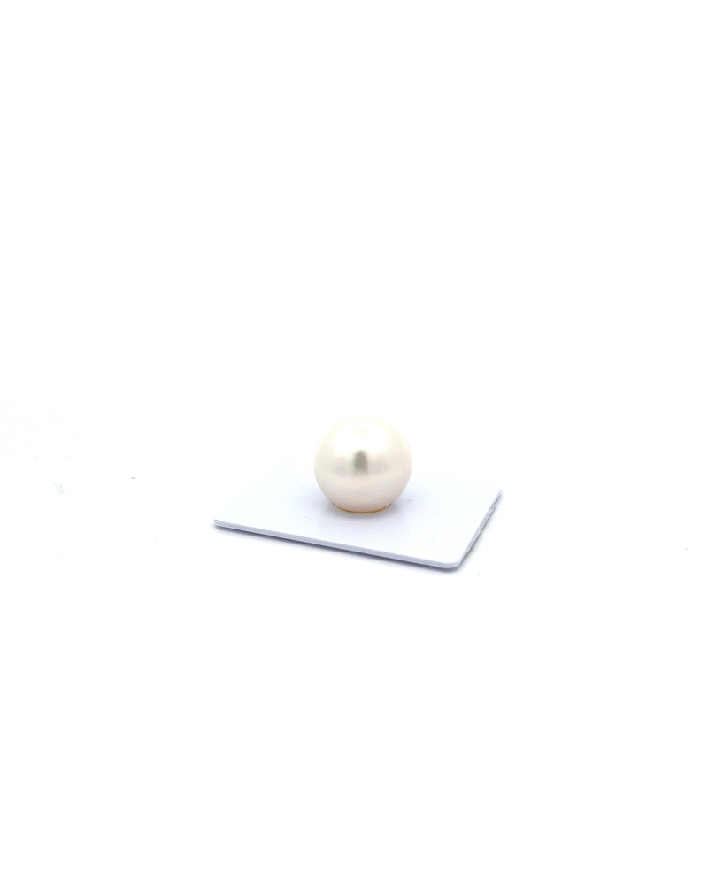 15mm+ fine  grade South Sea pearl, Australia