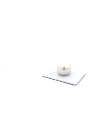 15mm+ fine  grade South Sea pearl, Australia