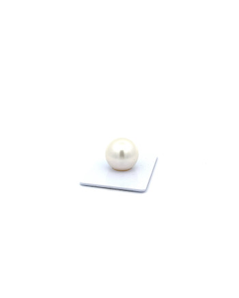 15mm+ gem  grade South Sea pearl, Australia