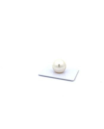 15mm+ gem  grade South Sea pearl, Australia