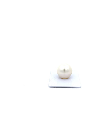 15mm+ gem  grade South Sea pearl, Australia