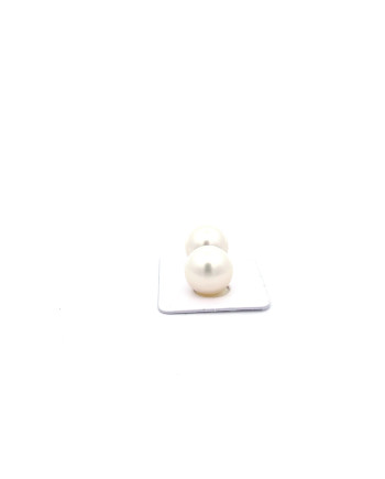 12mm+ gem  grade South Sea pearl, Australia