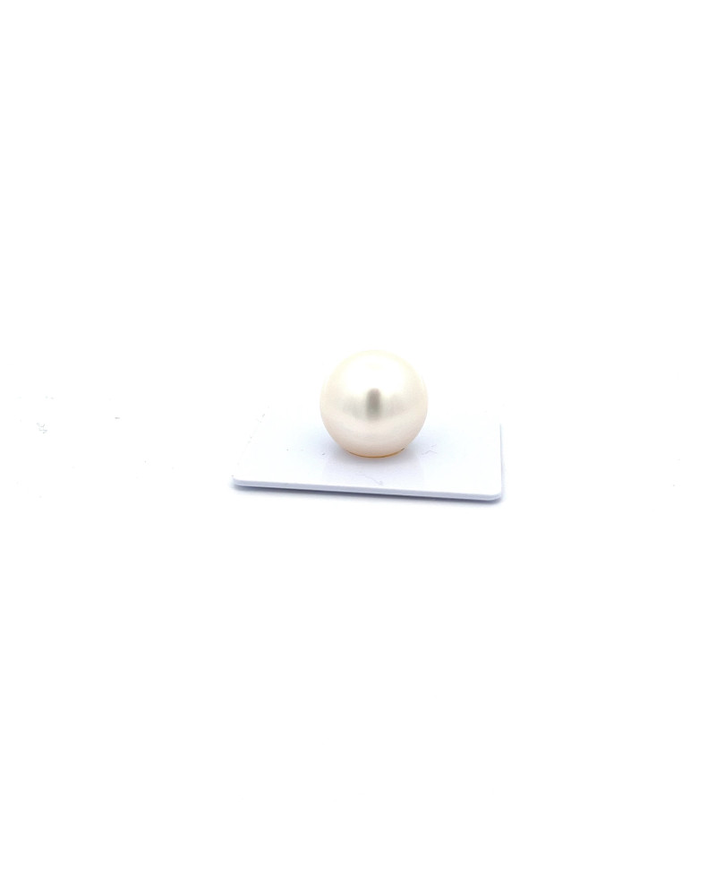 15mm+ fine  grade South Sea pearl, Australia