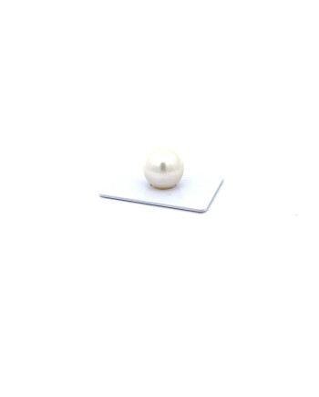 15mm+ gem  grade South Sea pearl, Australia