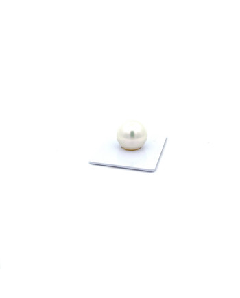 15mm+ gem  grade South Sea pearl, Australia