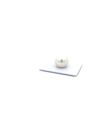 15mm+ gem  grade South Sea pearl, Australia