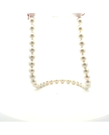 9mm+ gem  grade South Sea pearl, Australia