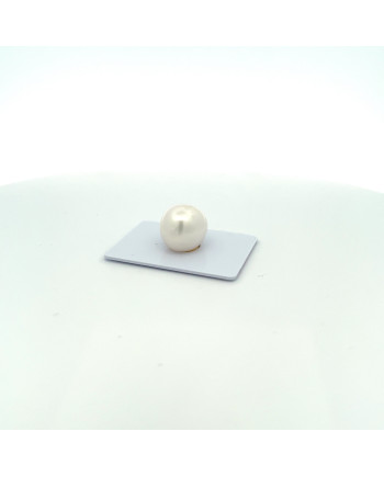 12mm+ fine  grade South Sea pearl, Australia