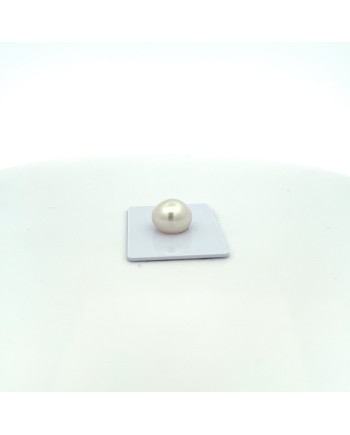12mm+ fine  grade South Sea pearl, Indonesia