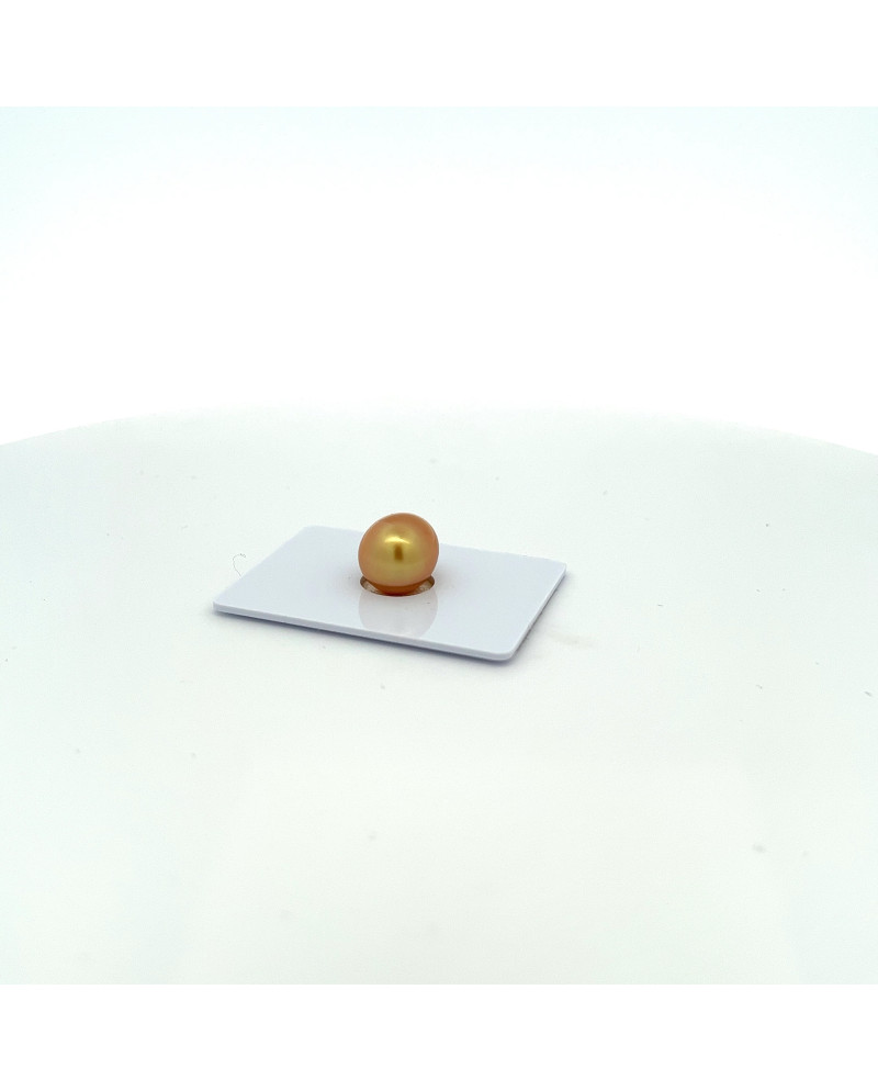 9mm+ gem  grade South Sea pearl, Philippines