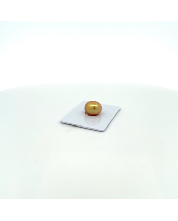 9mm+ gem  grade South Sea pearl, Philippines