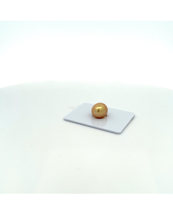 9mm+ gem  grade South Sea pearl, Philippines
