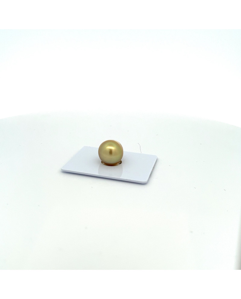 12mm+ fine  grade South Sea pearl, Philippines