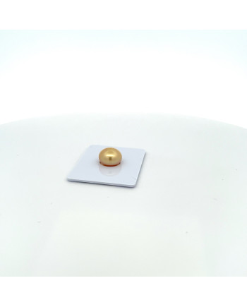 9mm+ jewel  grade South Sea pearl, Indonesia