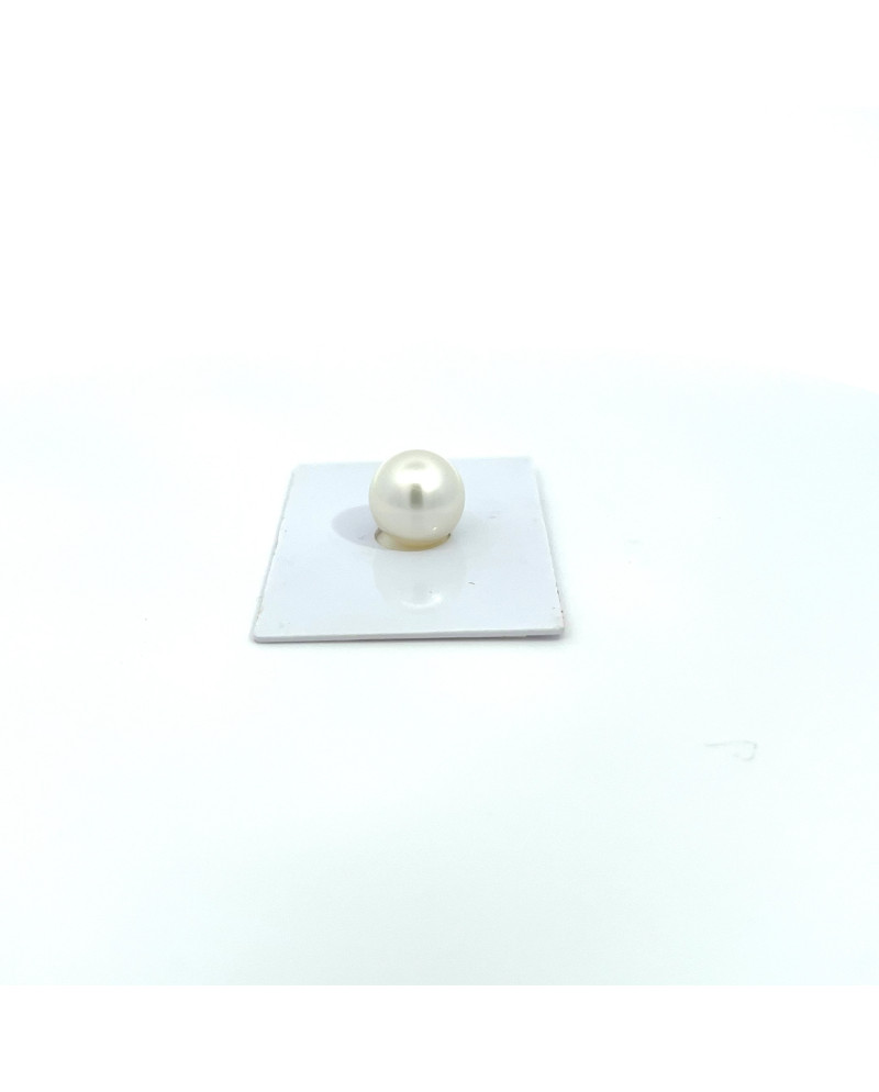 12mm+ gem  grade South Sea pearl, Australia