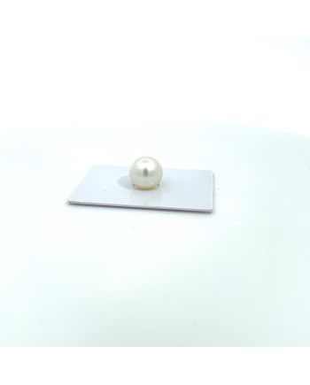 12mm+ gem  grade South Sea pearl, Australia