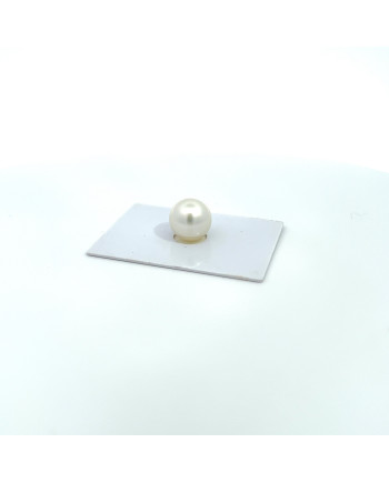 12mm+ gem  grade South Sea pearl, Australia