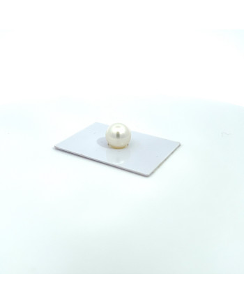 12mm+ gem  grade South Sea pearl, Australia