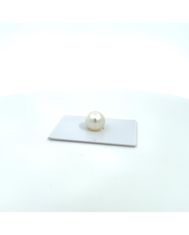 12mm+ gem  grade South Sea pearl, Australia