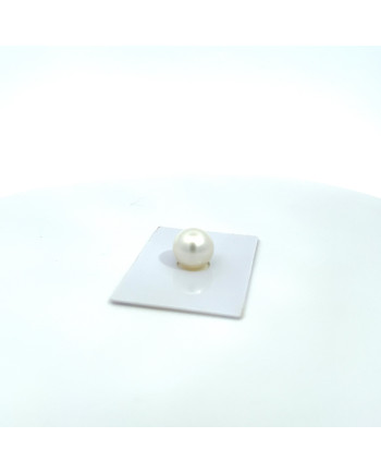 12mm+ gem  grade South Sea pearl, Australia