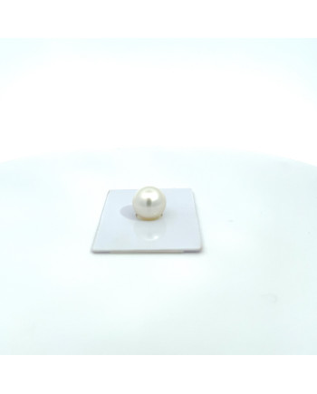 12mm+ gem  grade South Sea pearl, Australia