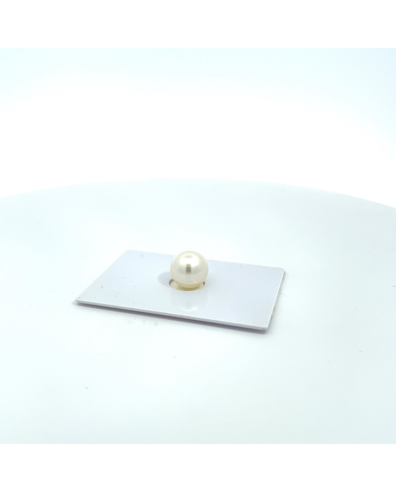9mm+ fine  grade South Sea pearl, Australia