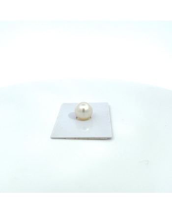 9mm+ fine  grade South Sea pearl, Australia