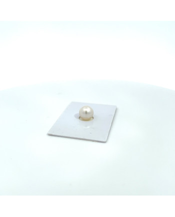 9mm+ fine  grade South Sea pearl, Australia