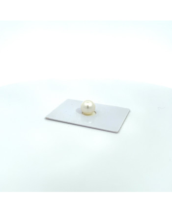 9mm+ fine  grade South Sea pearl, Australia