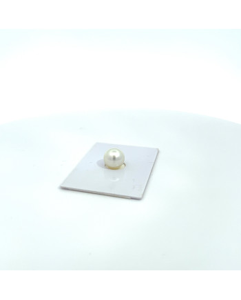 9mm+ gem  grade South Sea pearl, Australia