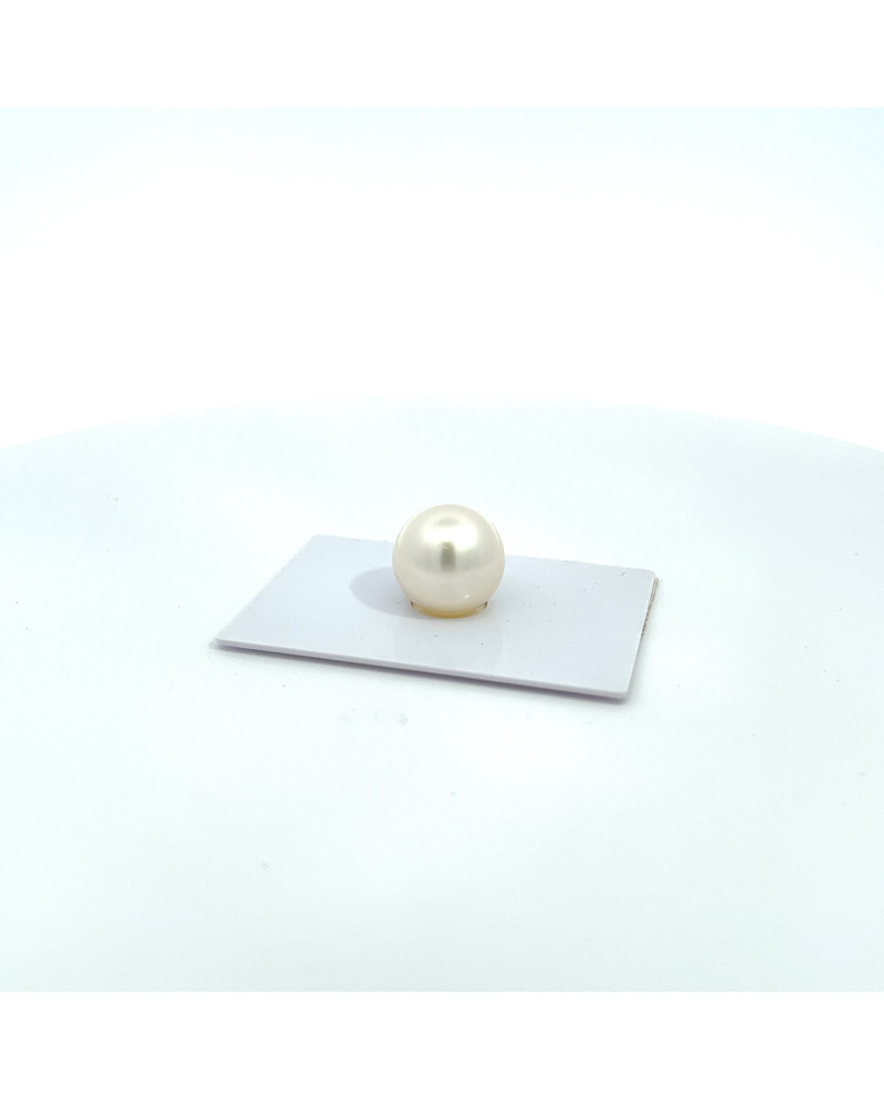 12mm+ gem  grade South Sea pearl, Australia