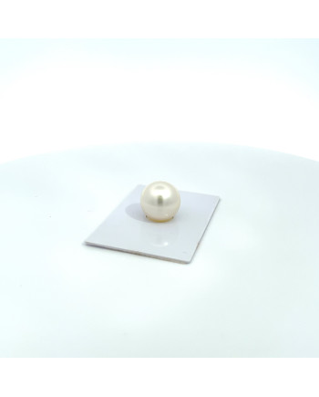 12mm+ gem  grade South Sea pearl, Australia